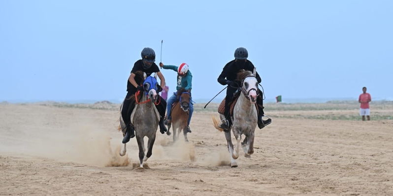 الخيول-الصغيرة منافسات سباق الخيول الصغيرة ( البونيات ) بصلالة