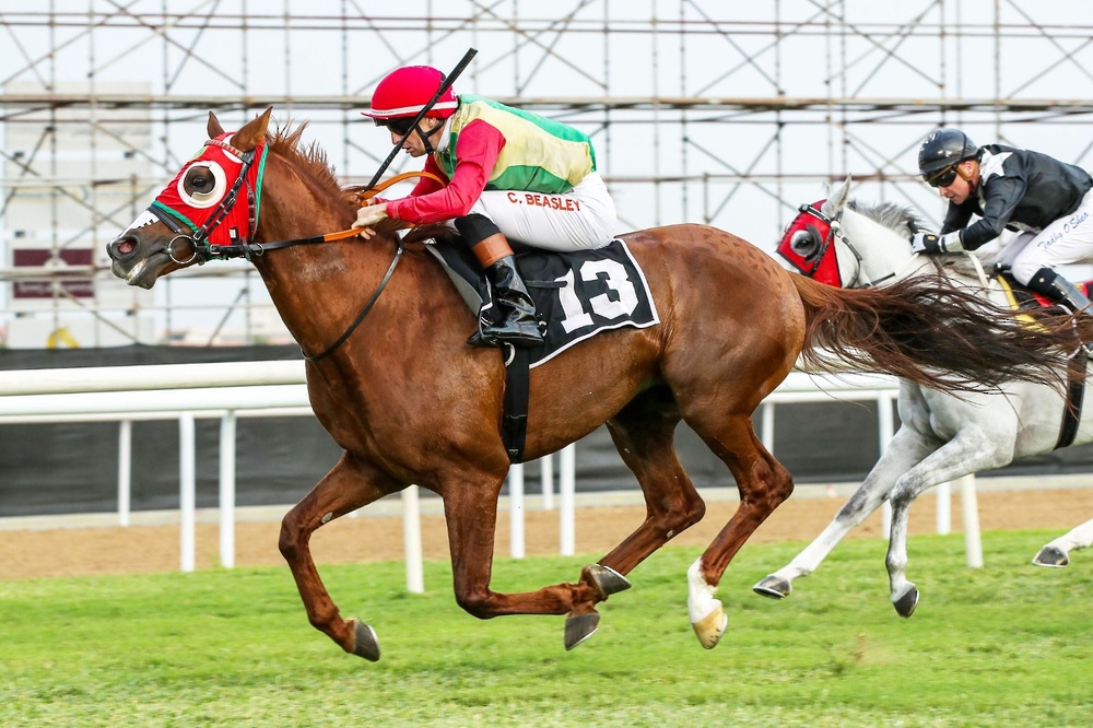فخر الحصان فخر للخيالة السلطانية يفوز بالمركز الأول علي مضمار نادي ابوظبي للفروسية
