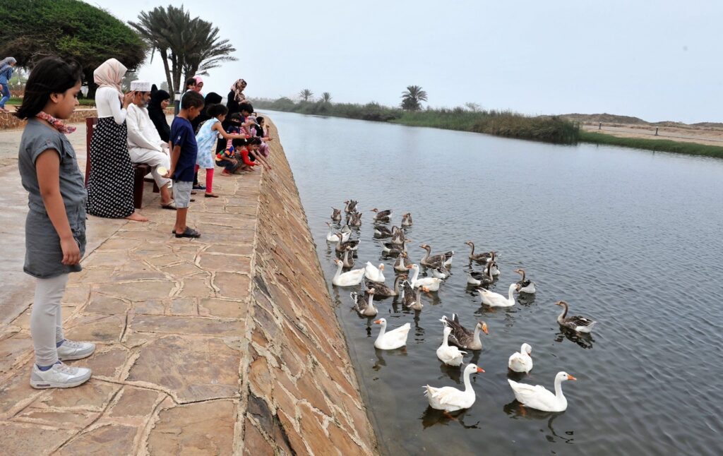 موسم-اللبان-3-1024x646 وزارة التراث والسياحة تنظم فعاليات (( موسم اللبان )) بمحافظة ظفار
