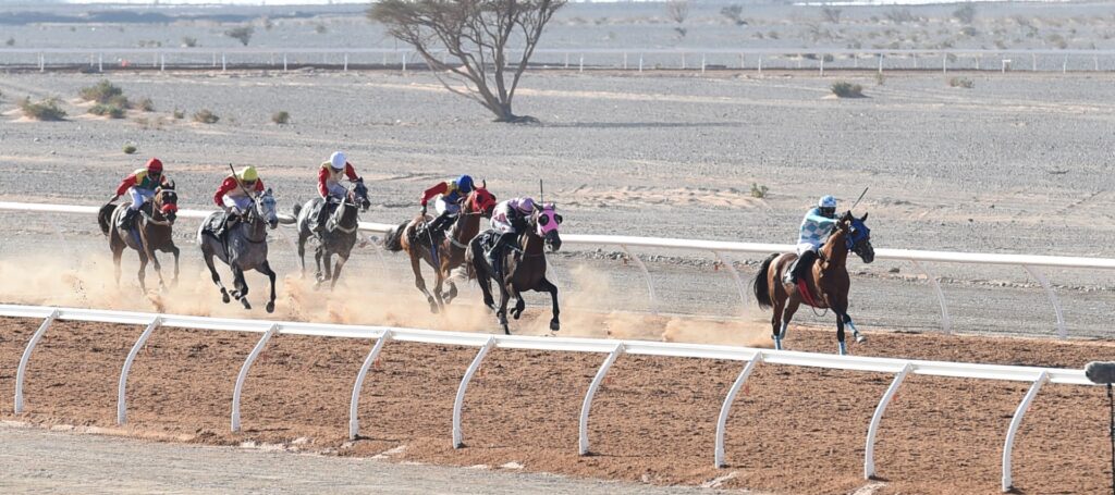 السباق-السنوي-3-1024x455 الحصان ( فلاح ) يتوج بكأس جلالة السلطان المعظم لسباق الخيل السنوي
