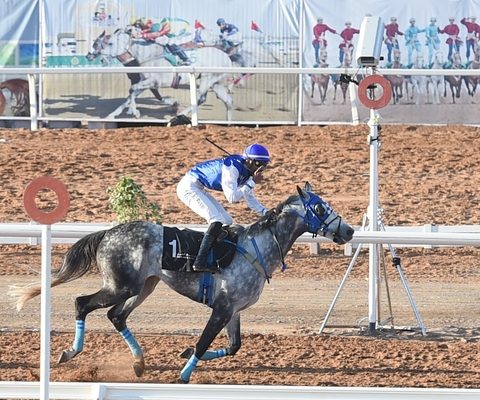 السباق-السنوي