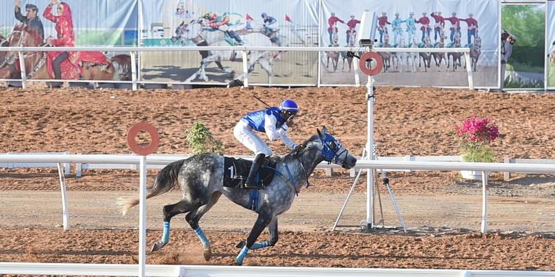 السباق-السنوي الحصان ( فلاح ) يتوج بكأس جلالة السلطان المعظم لسباق الخيل السنوي