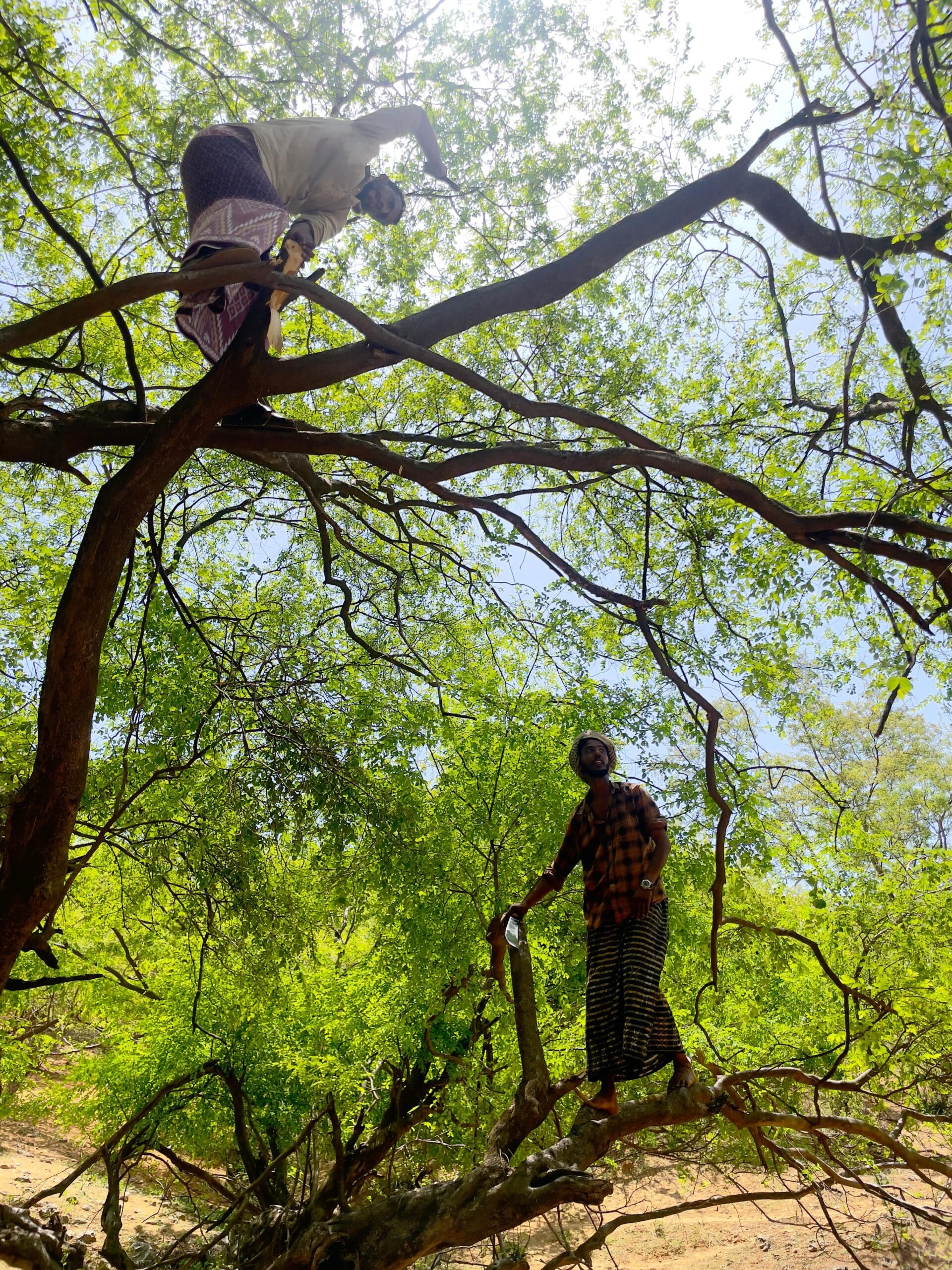 Af05d03a e356 4d79 95a3 767ace77965d scaled