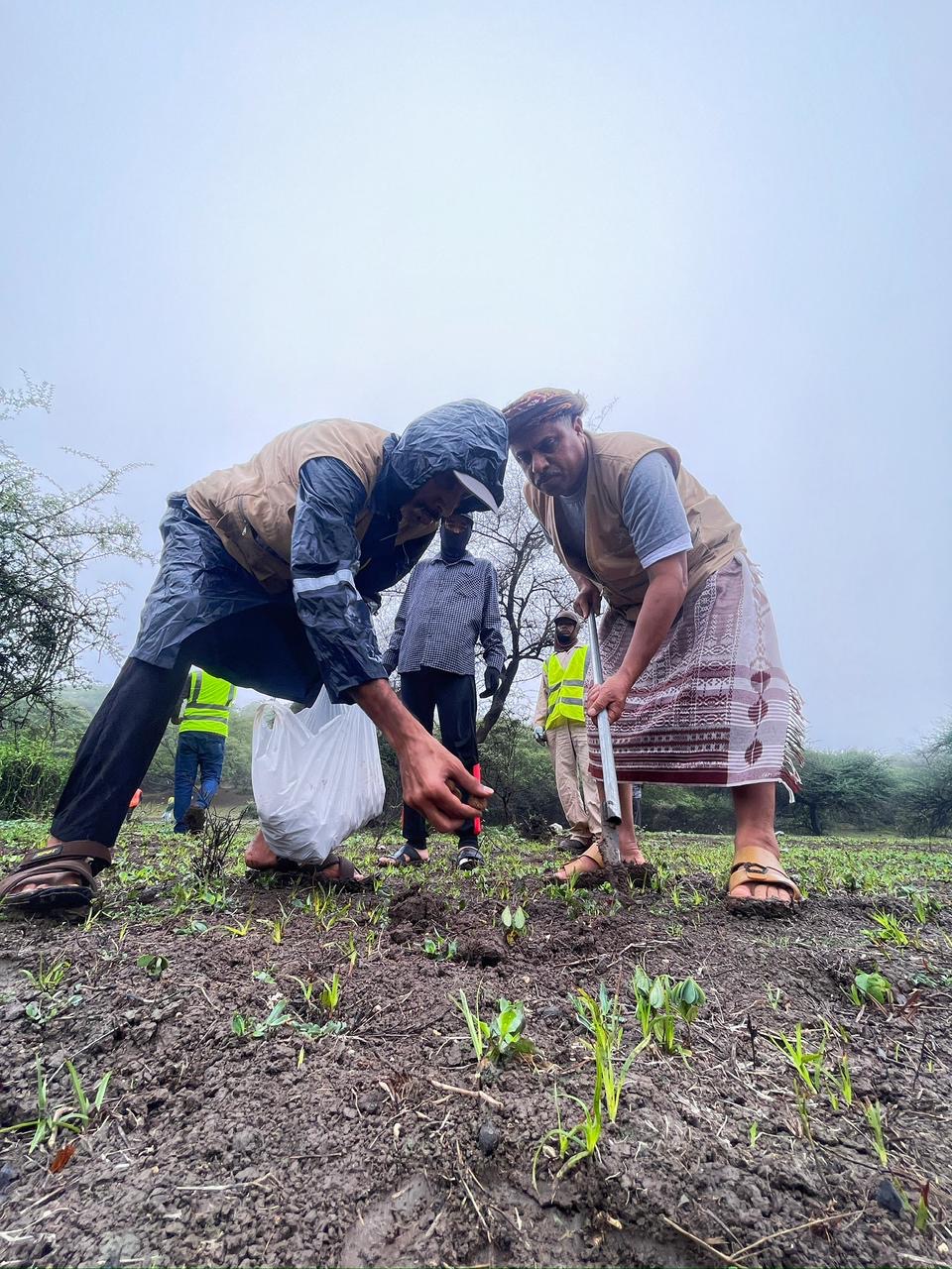 5d2faff9 e147 4de4 8b72 0da382e0d002