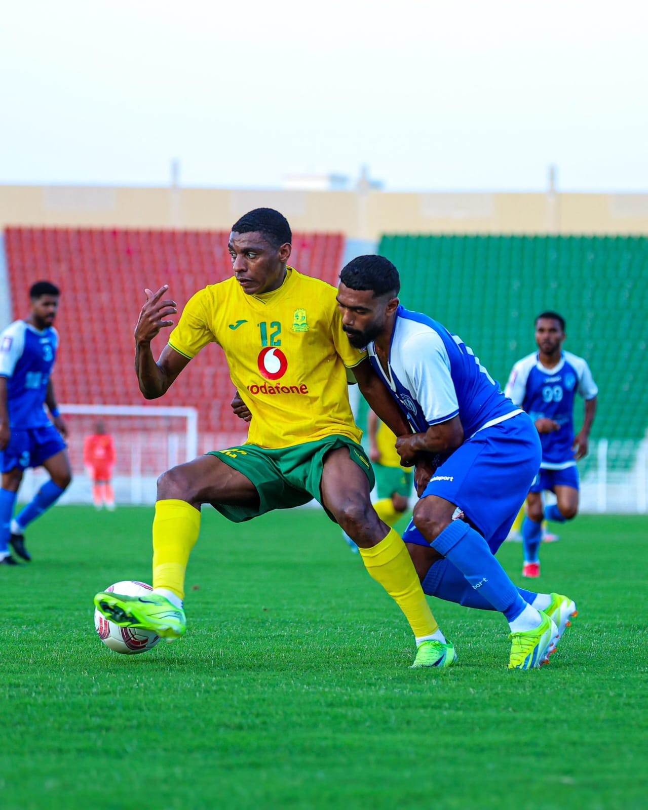 السيب وصحم 2