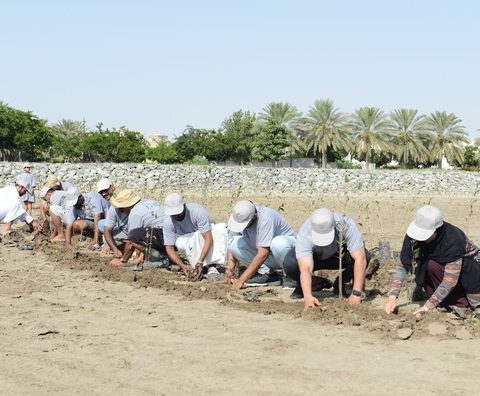 يوم البئة