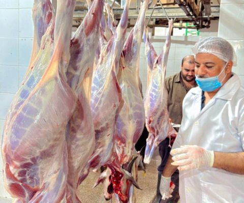 صلالة الخيري