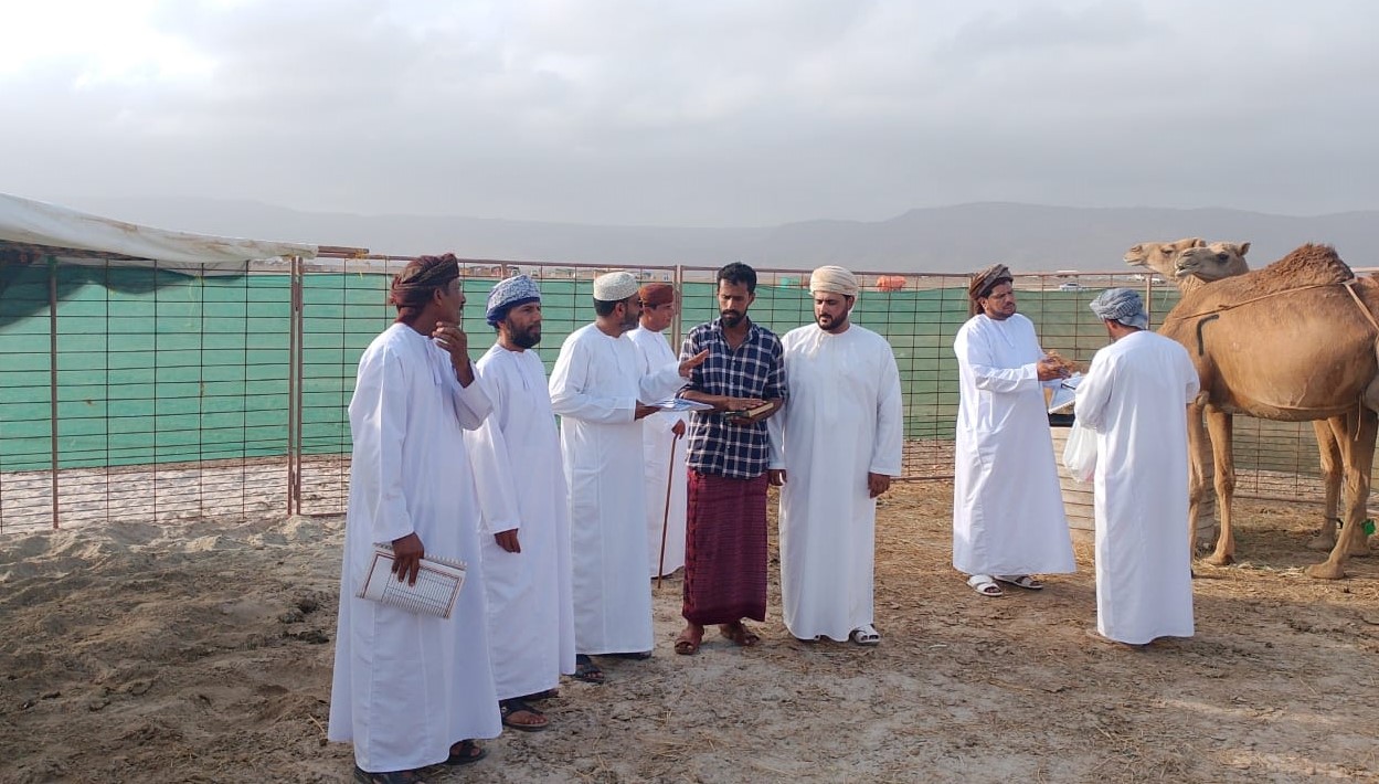لجنة الابل 2 1