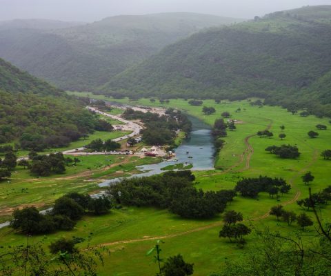 حماة البيئة