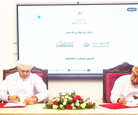 الكلية المهنية