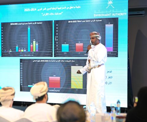 استراتيجية