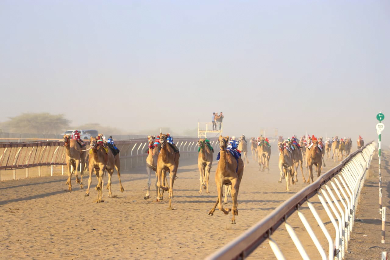 بركاء 2
