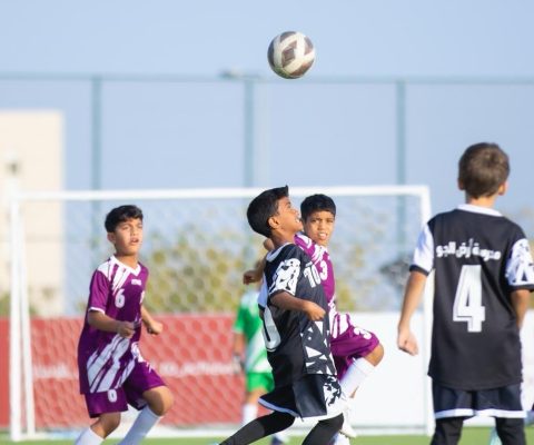 d914791c-d4aa-490b-ab08-e76f4356b116