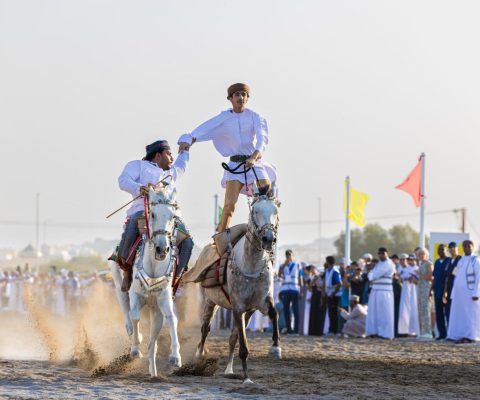 الخيل  4
