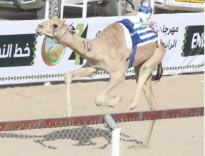 الأبيض 1