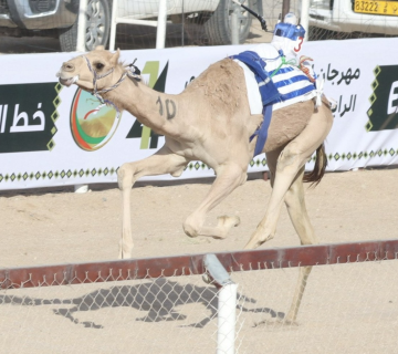 الأبيض 1 360x320