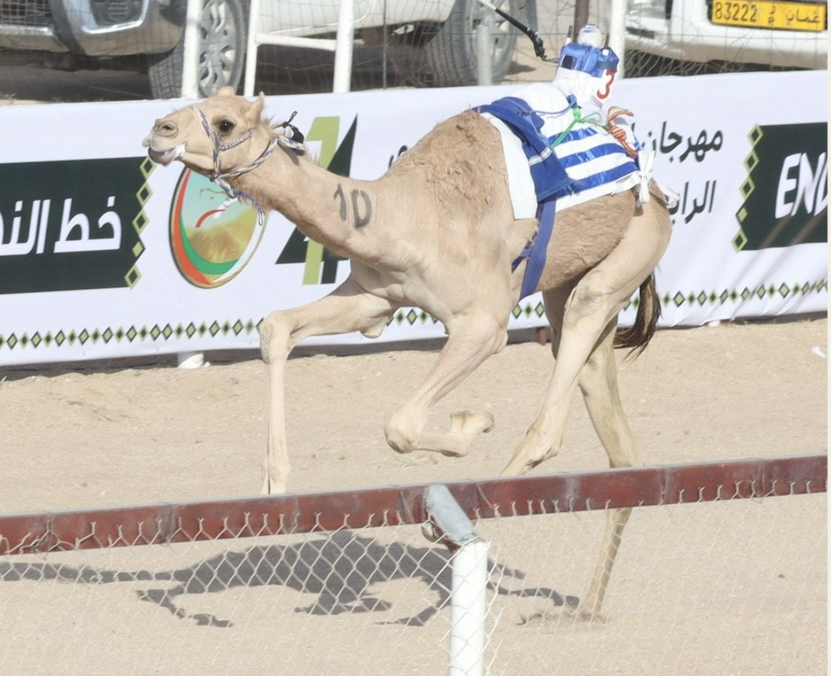 الأبيض 1