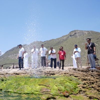 زوار الخريف