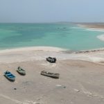 الإيكولوجية 150x150