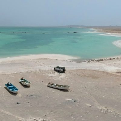 الإيكولوجية