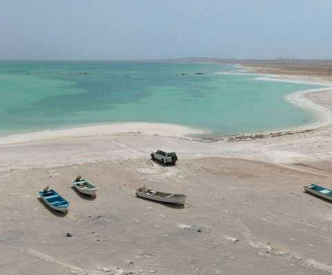 الإيكولوجية