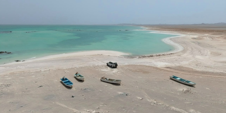 الإيكولوجية
