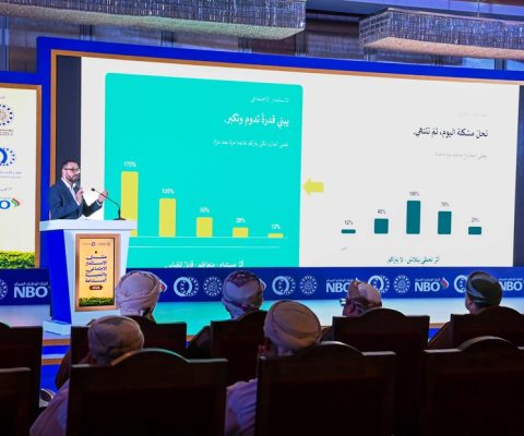 الاستثمار