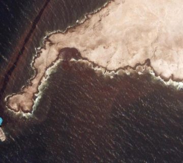 وطنيةٌ 360x320