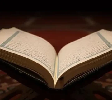 لناشري 360x320